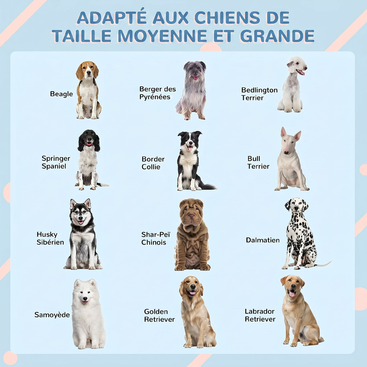 Niche pour chien d'extérieur avec toit en pente – bleue