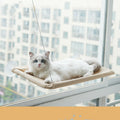 Chat installé dans son hamac de fenêtre beige