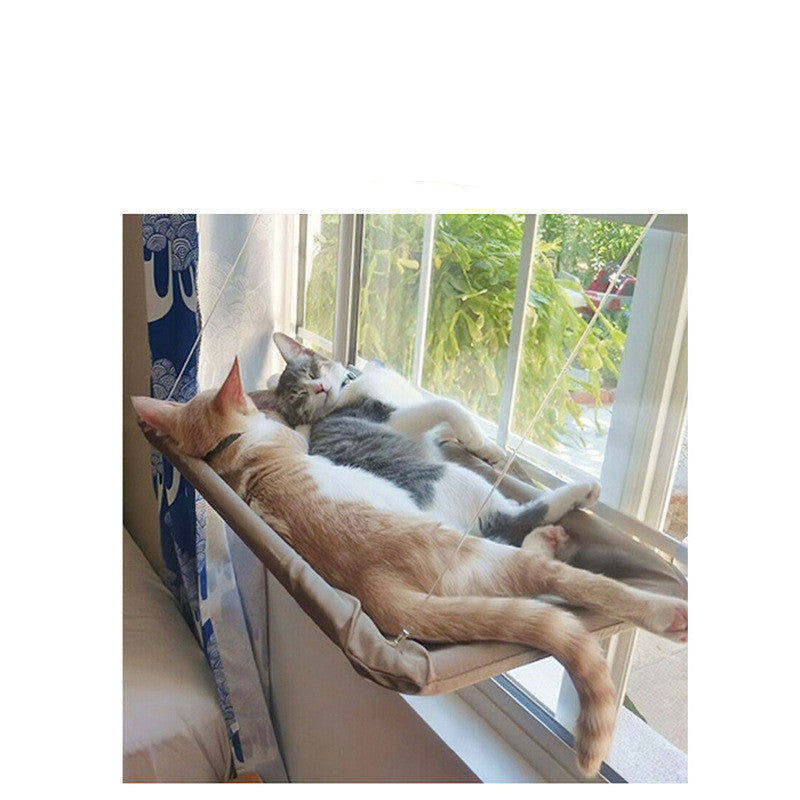Deux chats au soleil dans un hamac de fenêtre