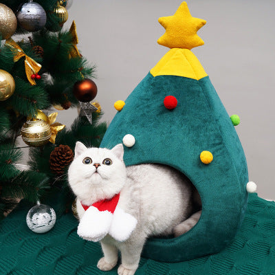 Chat devant son lit sapin de Noël