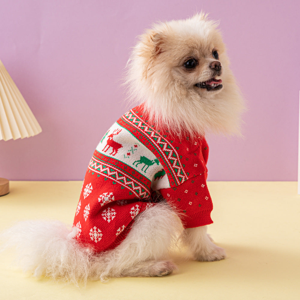 Petit chien portant le pull de Noël motif rennes