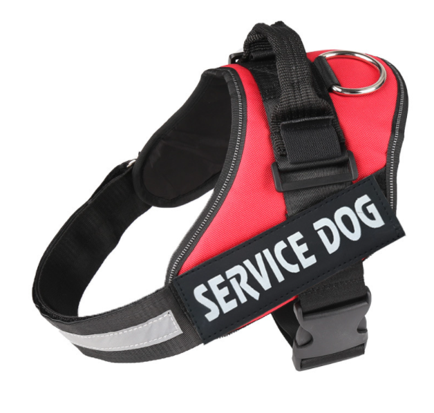 Harnais rouge personnalisé pour chien