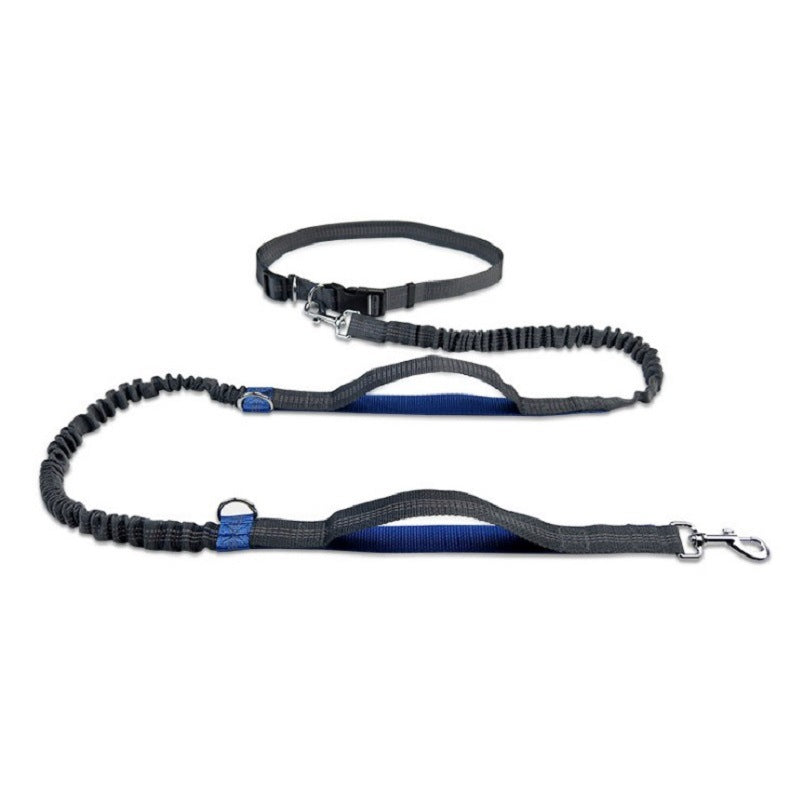 Laisse mains libres pour chien avec ceinture, coloris gris et bleu