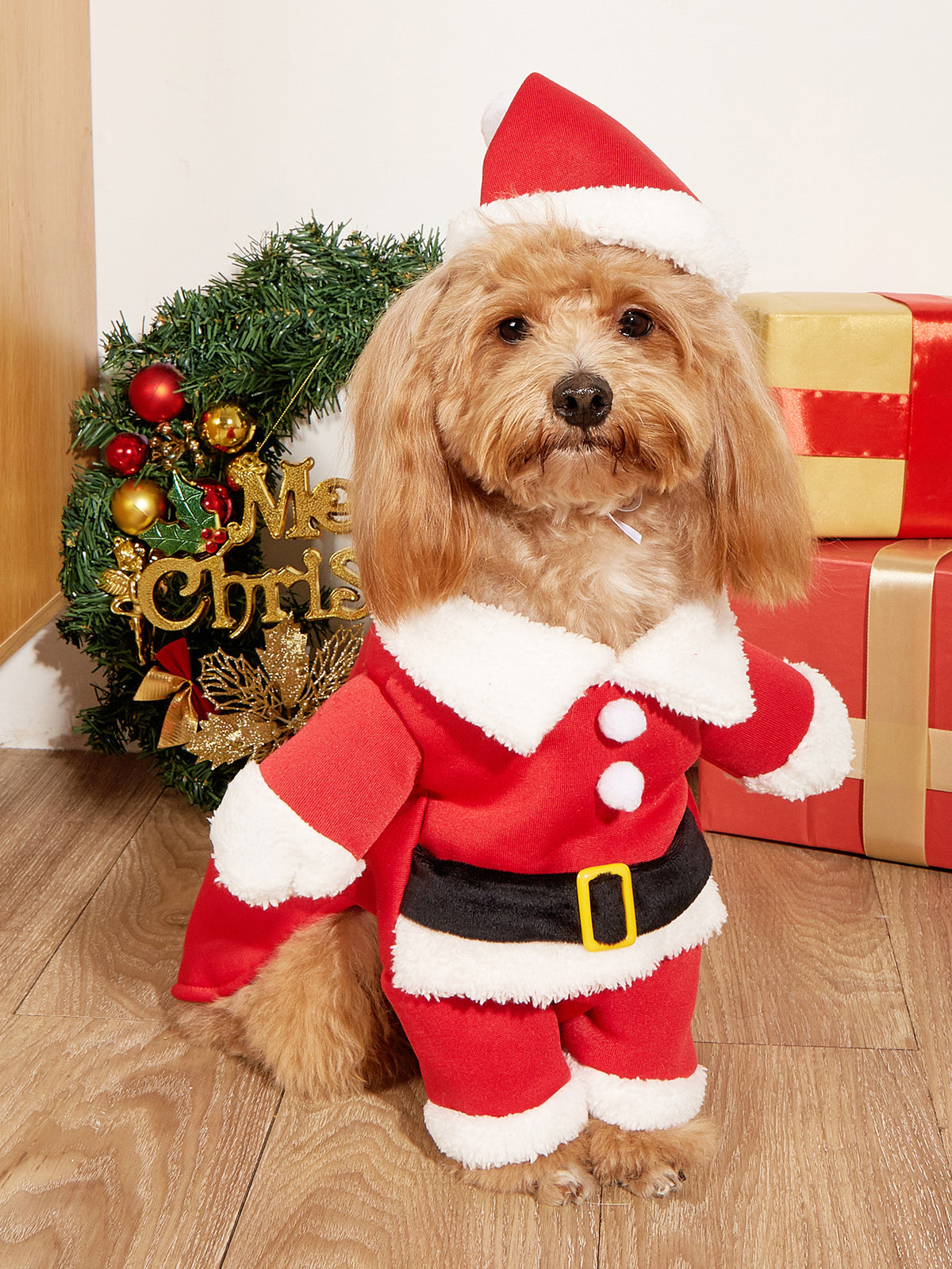 Petit chien en déguisement de Père Noël