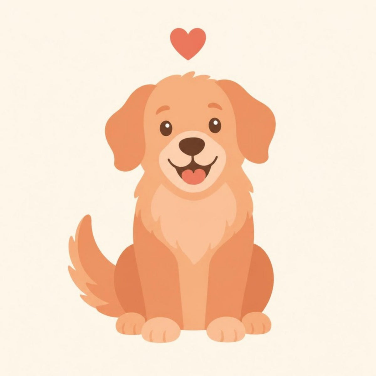 Accessoires pour chiens